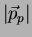 $\vert\vec{p}_p\vert$